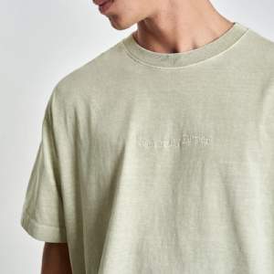 Camiseta Oversized BIRDEN Verde Pastel